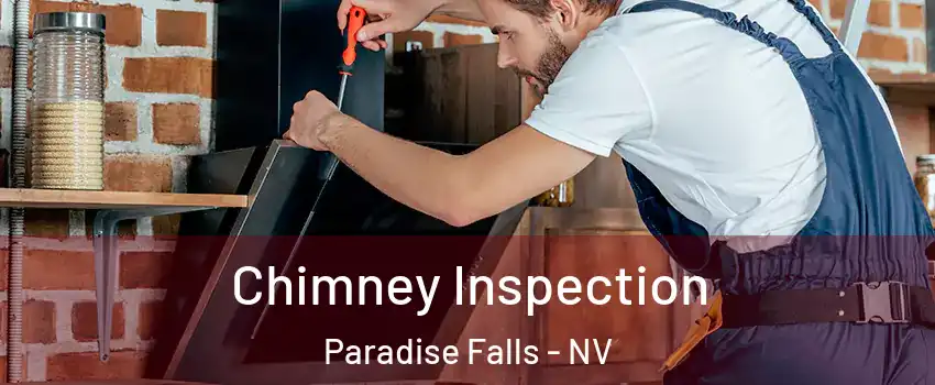 Chimney Inspection Paradise Falls - NV