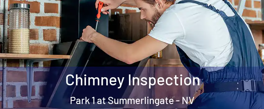 Chimney Inspection Park 1 at Summerlingate - NV