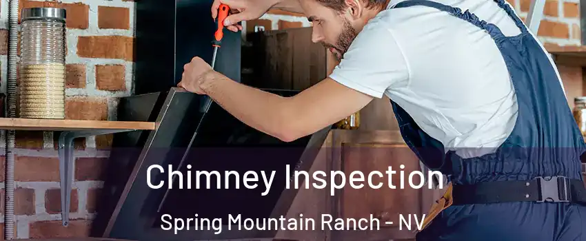 Chimney Inspection Spring Mountain Ranch - NV