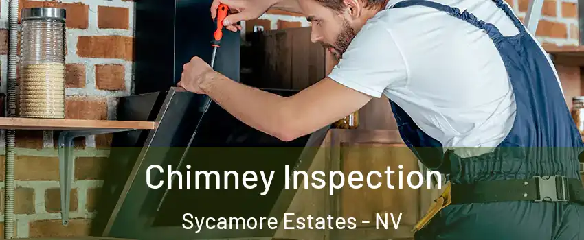 Chimney Inspection Sycamore Estates - NV