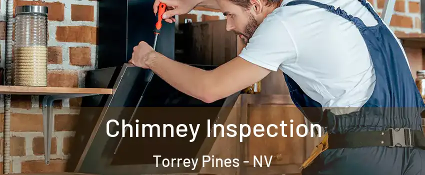 Chimney Inspection Torrey Pines - NV