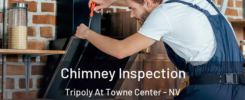 Chimney Inspection Tripoly At Towne Center - NV
