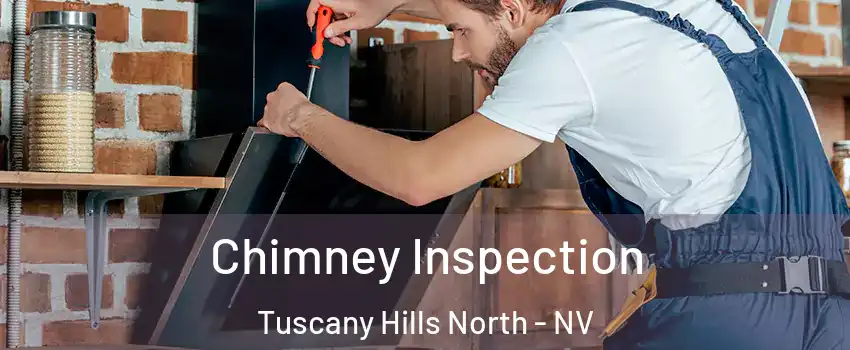 Chimney Inspection Tuscany Hills North - NV
