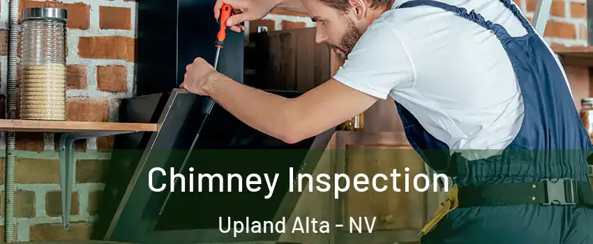 Chimney Inspection Upland Alta - NV