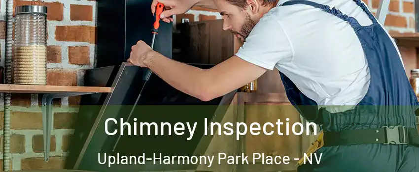 Chimney Inspection Upland-Harmony Park Place - NV