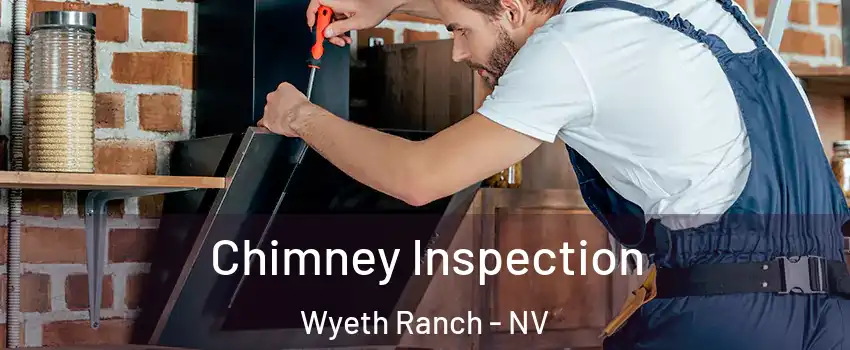 Chimney Inspection Wyeth Ranch - NV