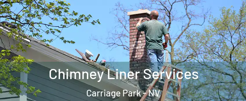 Chimney Liner Services Carriage Park - NV