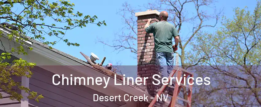 Chimney Liner Services Desert Creek - NV