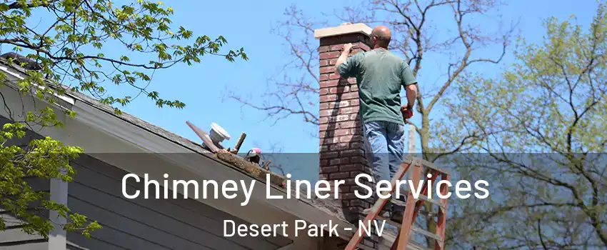 Chimney Liner Services Desert Park - NV