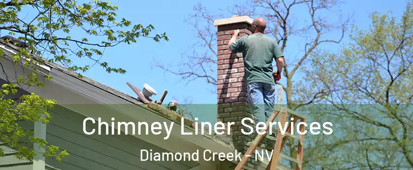 Chimney Liner Services Diamond Creek - NV