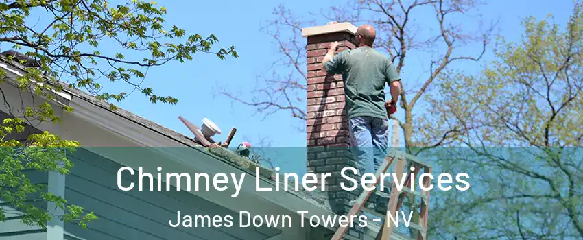 Chimney Liner Services James Down Towers - NV
