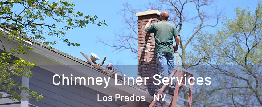 Chimney Liner Services Los Prados - NV