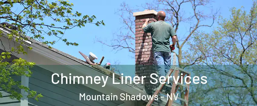 Chimney Liner Services Mountain Shadows - NV