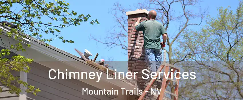 Chimney Liner Services Mountain Trails - NV