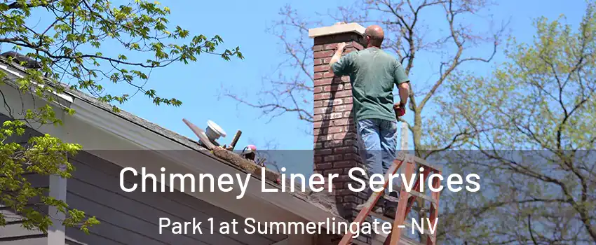 Chimney Liner Services Park 1 at Summerlingate - NV