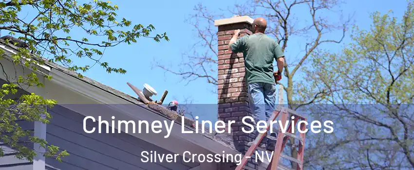 Chimney Liner Services Silver Crossing - NV