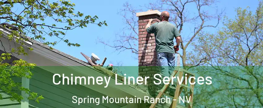 Chimney Liner Services Spring Mountain Ranch - NV