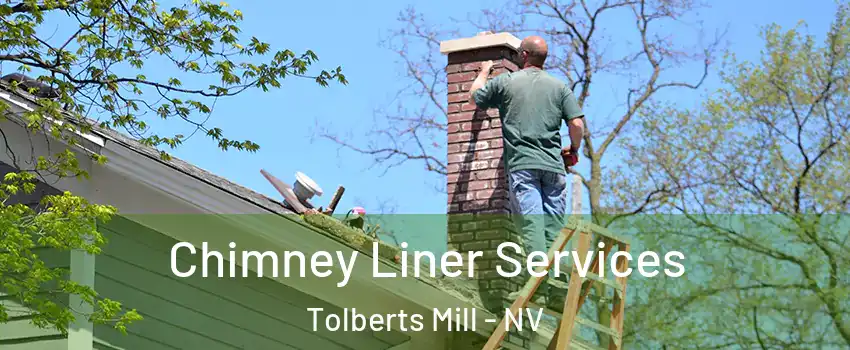 Chimney Liner Services Tolberts Mill - NV