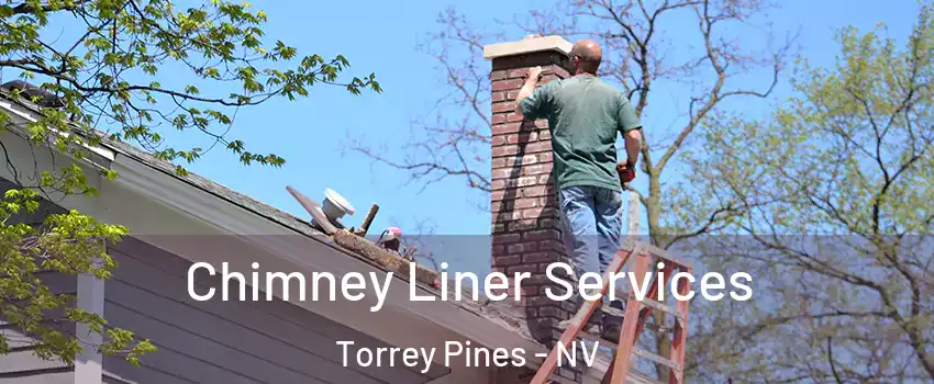 Chimney Liner Services Torrey Pines - NV