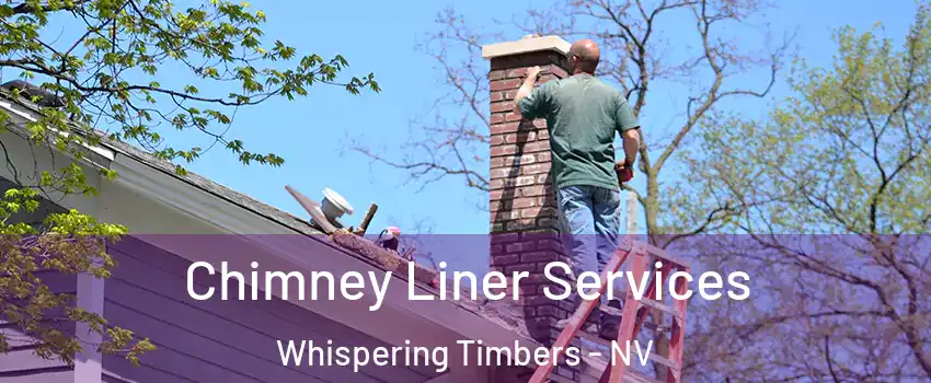 Chimney Liner Services Whispering Timbers - NV