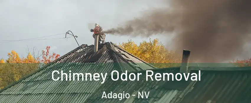 Chimney Odor Removal Adagio - NV