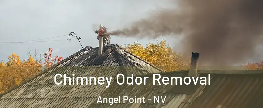 Chimney Odor Removal Angel Point - NV