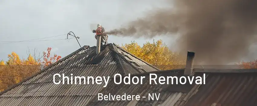 Chimney Odor Removal Belvedere - NV