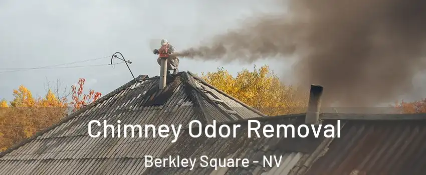 Chimney Odor Removal Berkley Square - NV