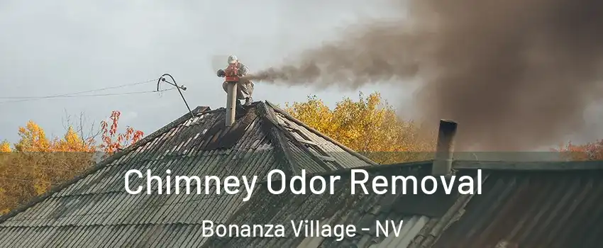 Chimney Odor Removal Bonanza Village - NV