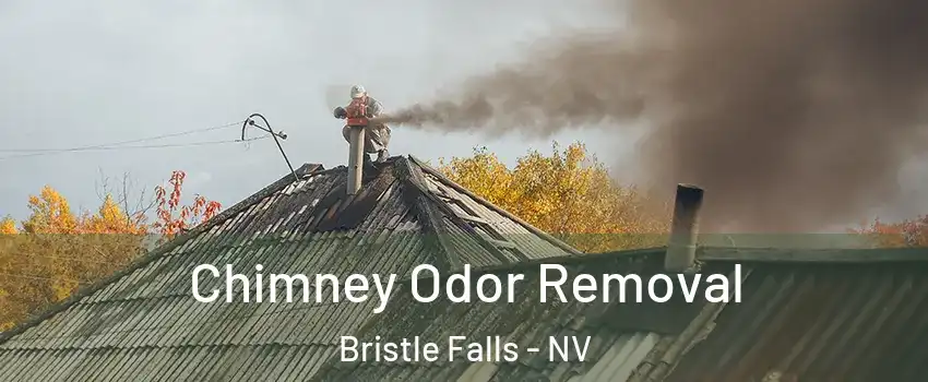 Chimney Odor Removal Bristle Falls - NV