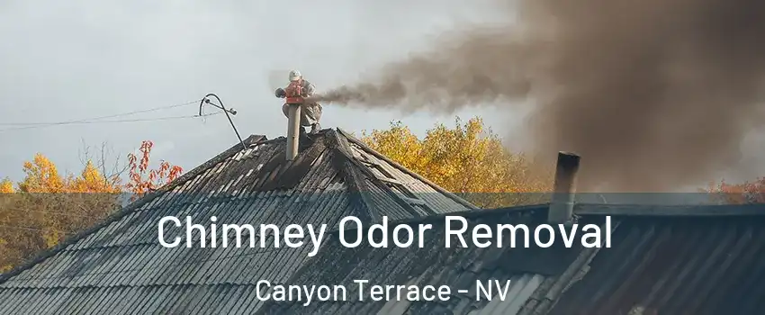 Chimney Odor Removal Canyon Terrace - NV