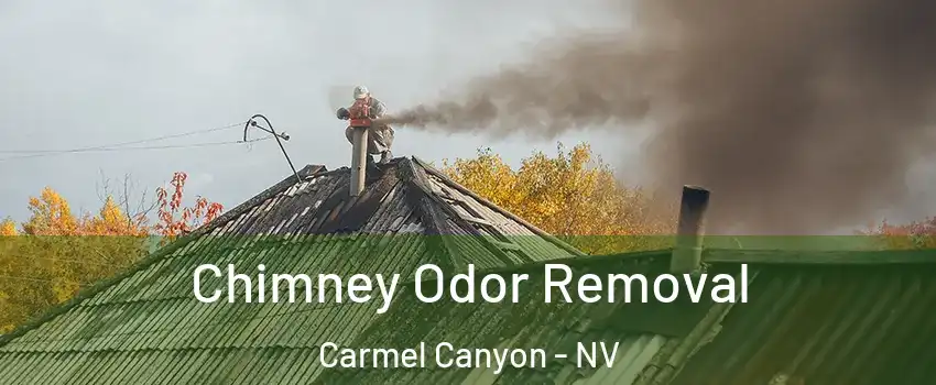 Chimney Odor Removal Carmel Canyon - NV