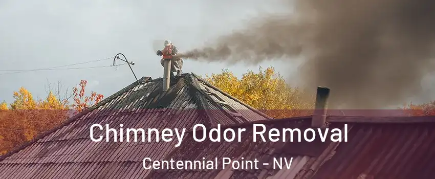 Chimney Odor Removal Centennial Point - NV