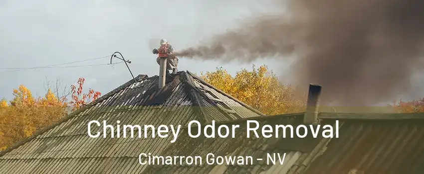 Chimney Odor Removal Cimarron Gowan - NV