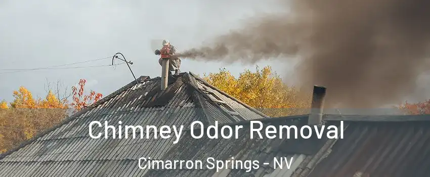 Chimney Odor Removal Cimarron Springs - NV