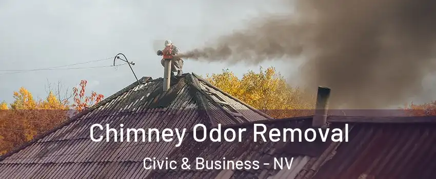 Chimney Odor Removal Civic & Business - NV