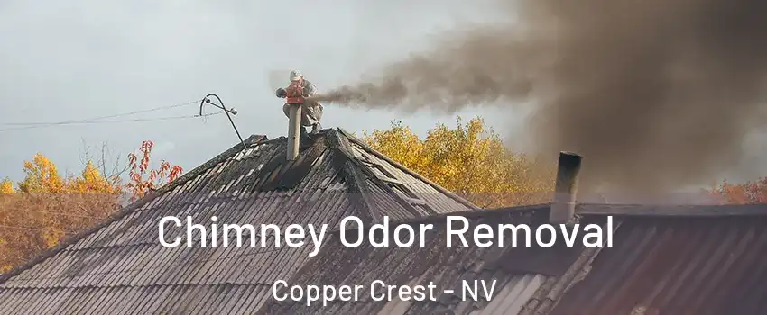 Chimney Odor Removal Copper Crest - NV