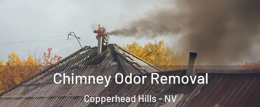 Chimney Odor Removal Copperhead Hills - NV