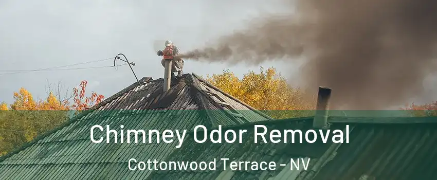 Chimney Odor Removal Cottonwood Terrace - NV
