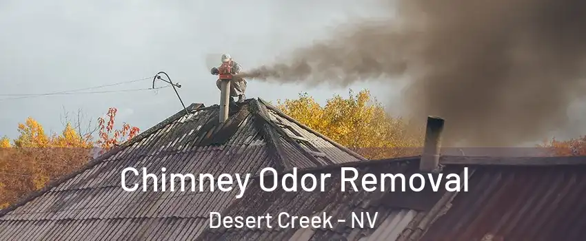 Chimney Odor Removal Desert Creek - NV