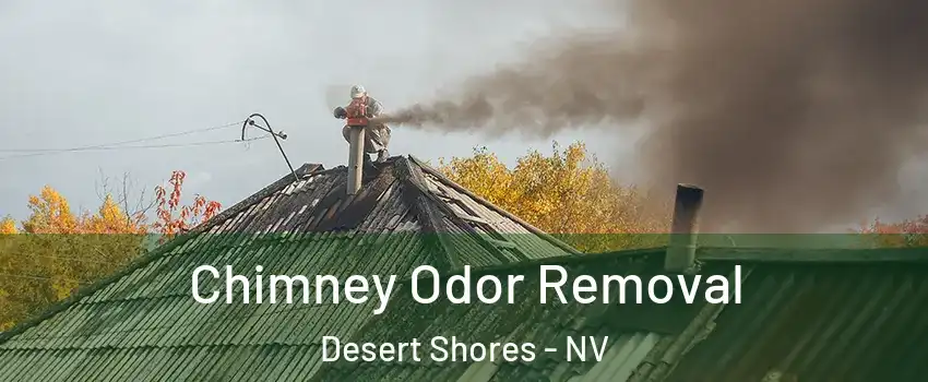 Chimney Odor Removal Desert Shores - NV
