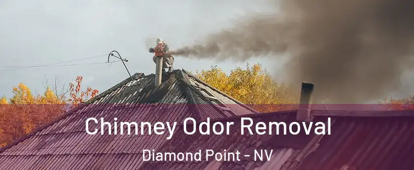 Chimney Odor Removal Diamond Point - NV