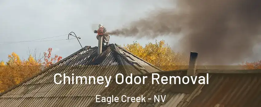 Chimney Odor Removal Eagle Creek - NV