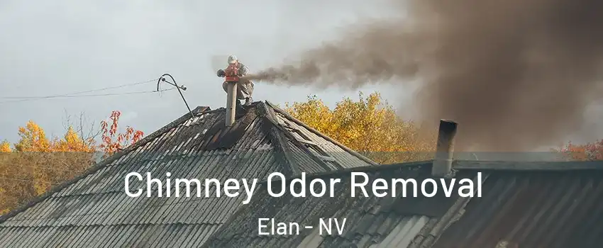 Chimney Odor Removal Elan - NV