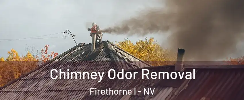 Chimney Odor Removal Firethorne I - NV