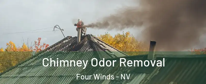 Chimney Odor Removal Four Winds - NV