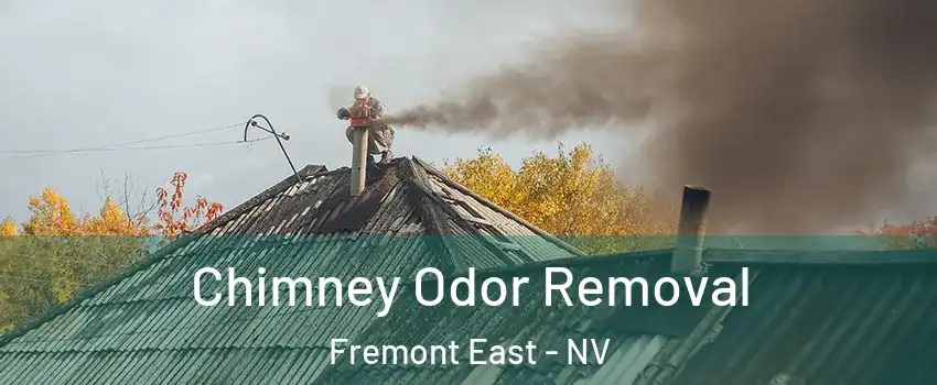 Chimney Odor Removal Fremont East - NV