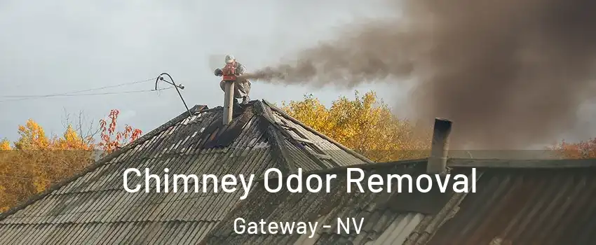 Chimney Odor Removal Gateway - NV