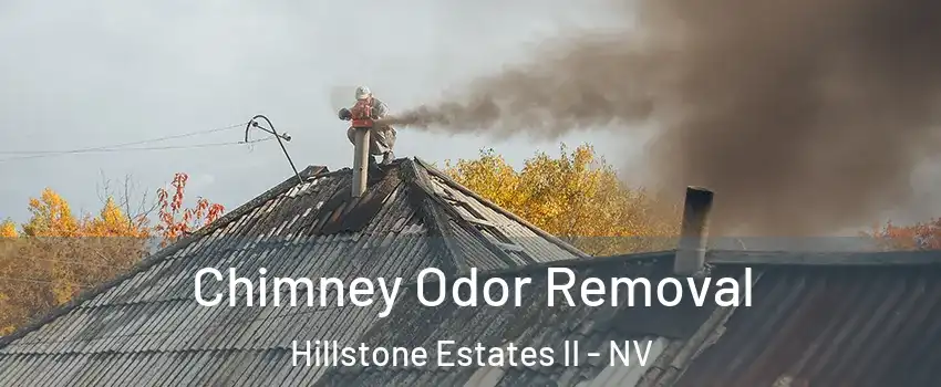 Chimney Odor Removal Hillstone Estates II - NV