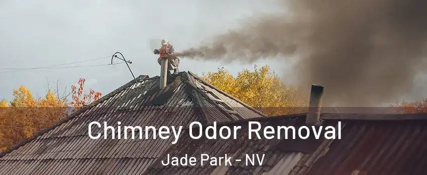 Chimney Odor Removal Jade Park - NV